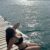 Çanakkale Escort Whatsapp